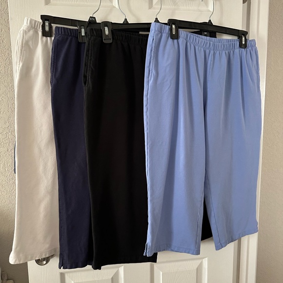 Ruby Rd. Capris Large - Picture 2 of 4